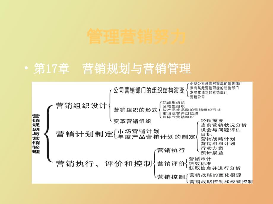 营销规划与营销管理_第3页