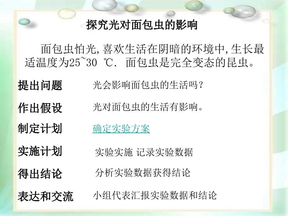 七年级生物环境对生物的影响2_第4页