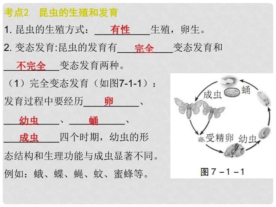 广东省中考生物 第七单元 第一章 生物的生殖和发育复习课件_第5页