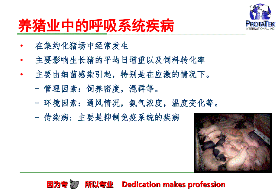 支原体的防控——喘泰克.ppt_第2页