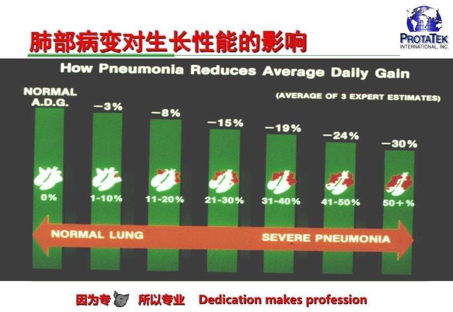 支原体的防控——喘泰克.ppt_第5页