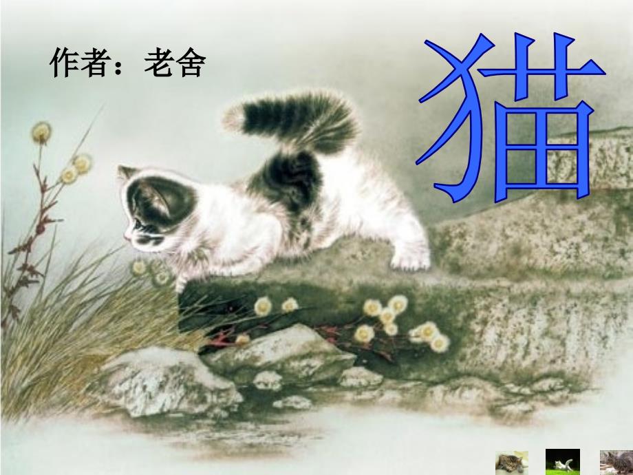 《猫》老舍修改_第1页