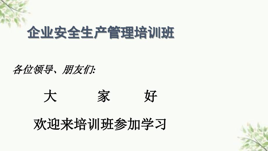 企业安全生产管理培训班课件_第1页