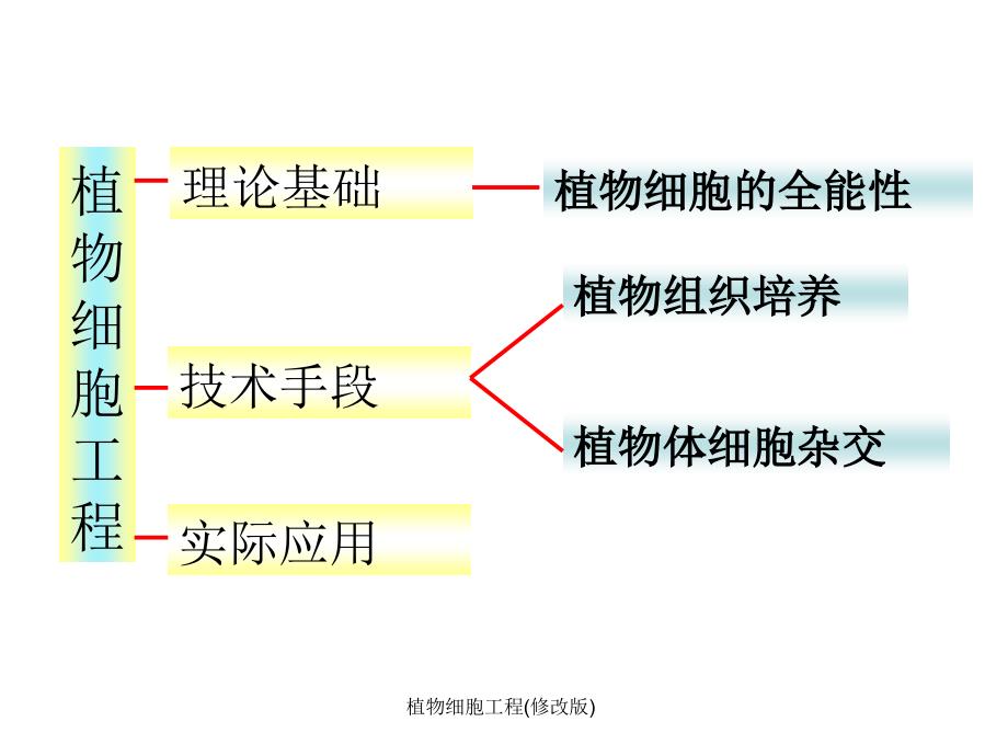 植物细胞工程修改版课件_第2页