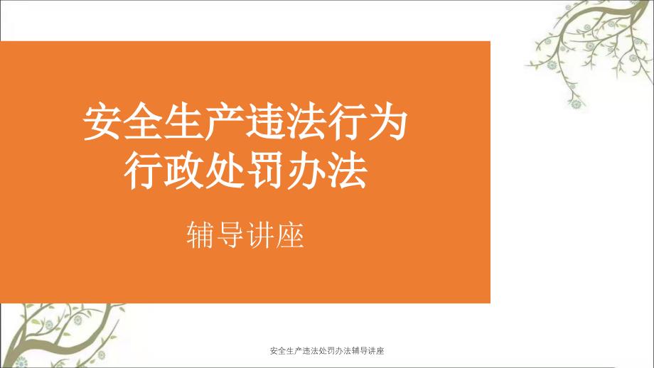 安全生产违法处罚办法辅导讲座PPT课件_第1页