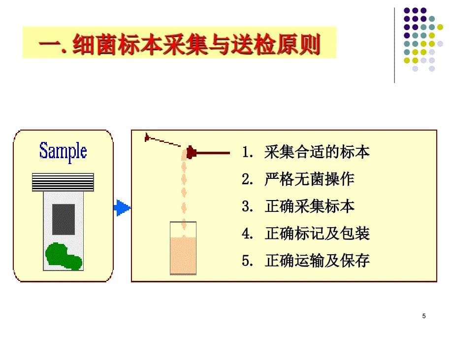 微生物8细菌感染的检查方法与防治原则_第5页