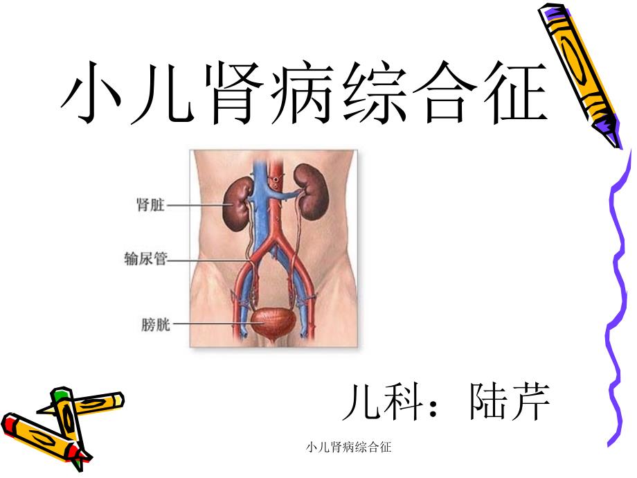 最新小儿肾病综合征_第1页