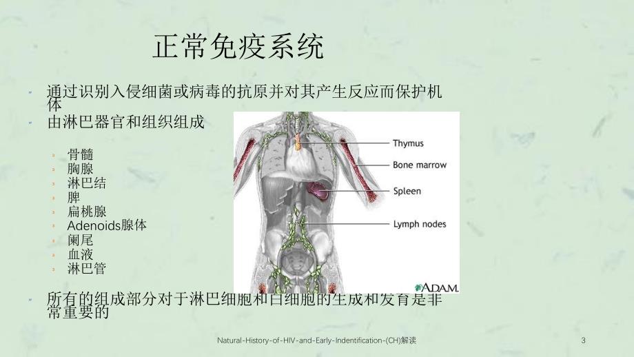 NaturalHistoryofHIVandEarlyIndentificationCH解读课件_第3页