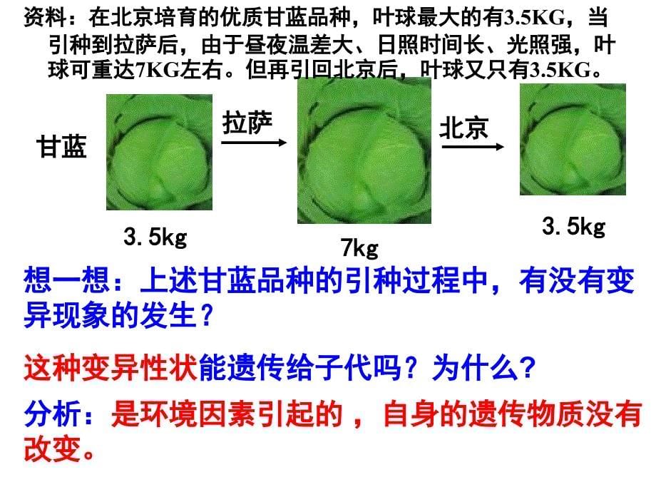 5.1基因突变和基因重组黄根亭_第5页