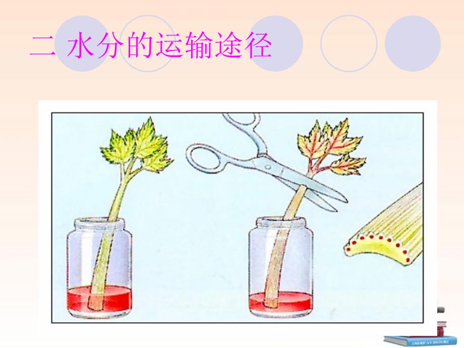 科学&#183;技术&#183;社会　节水农业_第3页