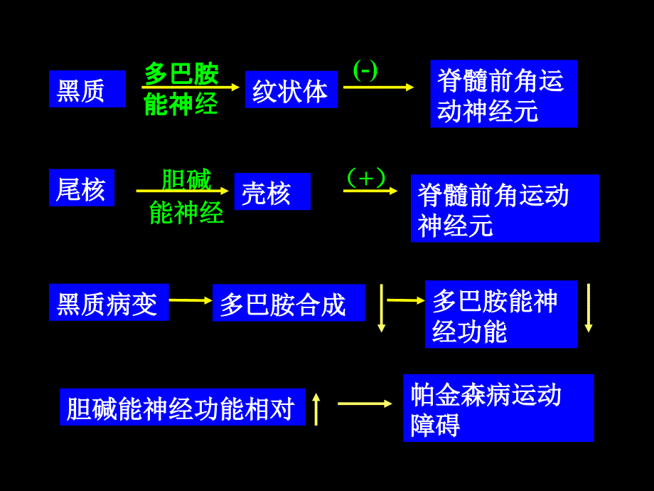 抗帕金森病药课件_第3页