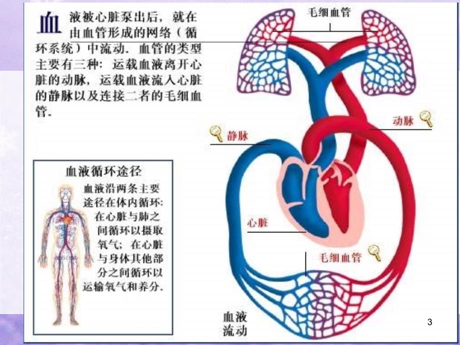 肺栓塞病人的护理2ppt课件_第3页