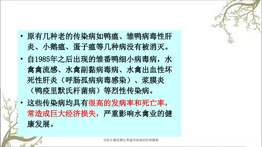 当前水禽规模化养殖传染病的防制最新课件_第3页