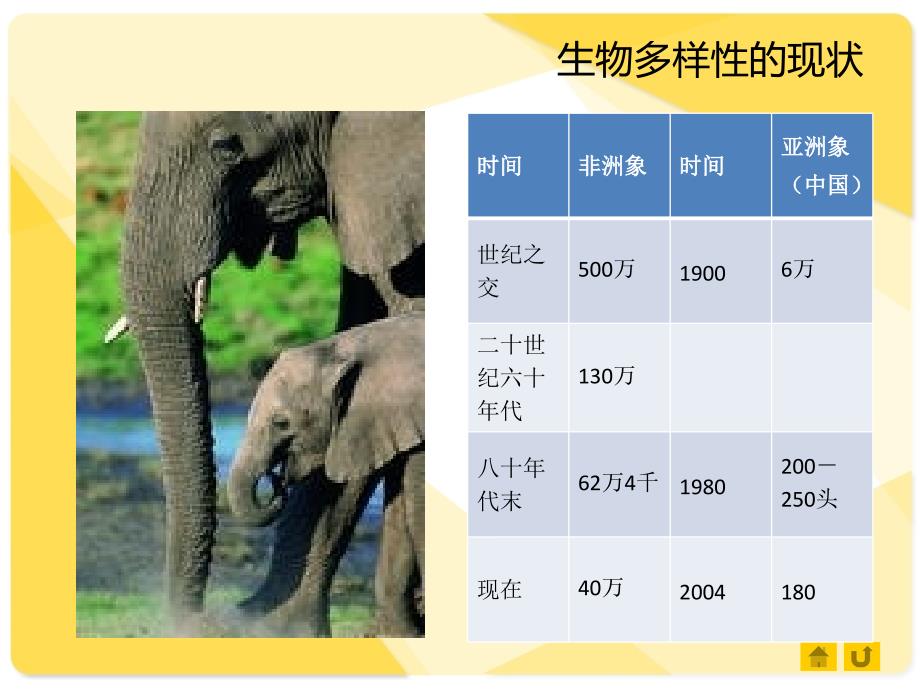 苏教版生物八上15.2保护生物多样性的艰巨使命课件1_第4页