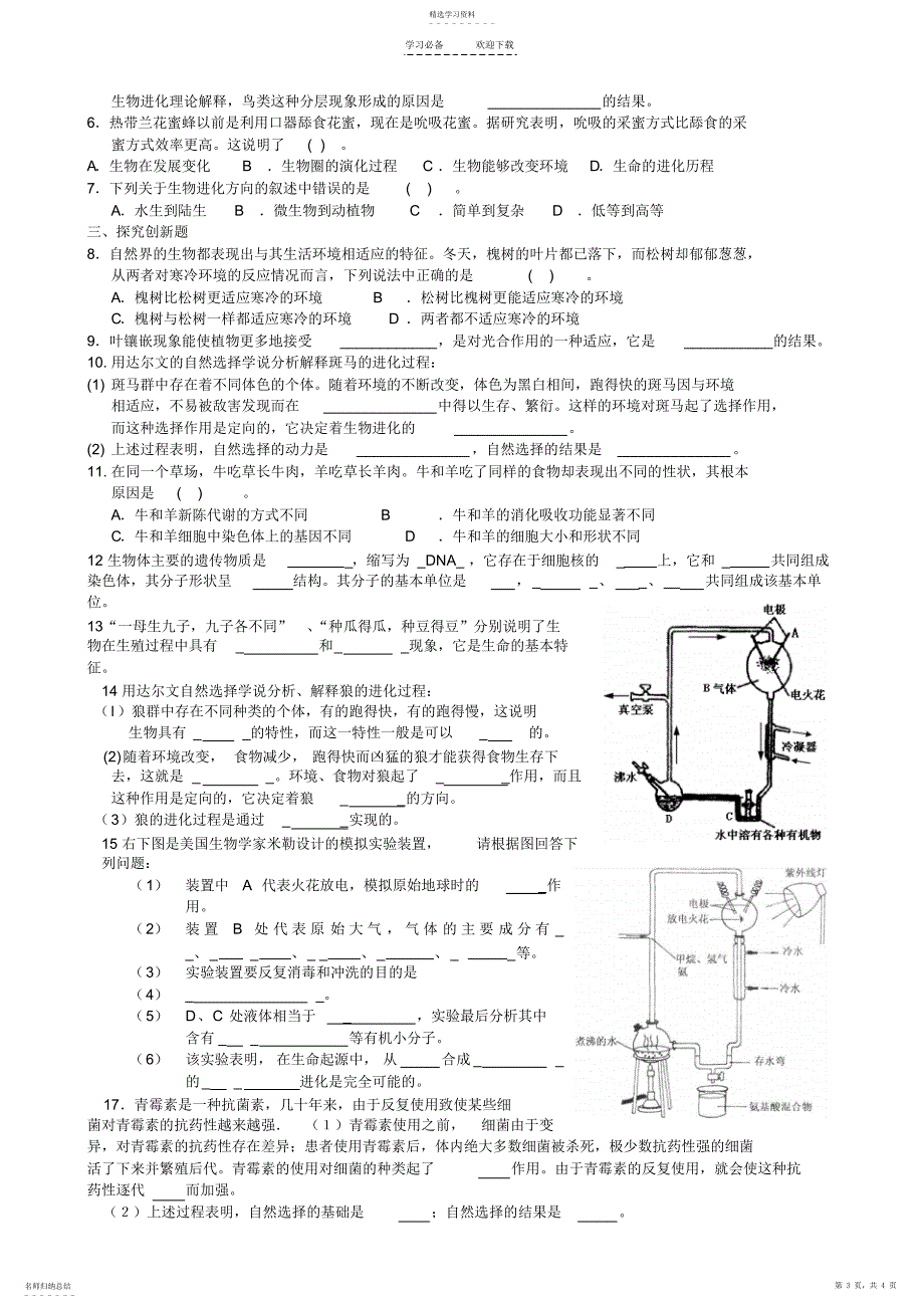 2022年生命的诞生和演化知识点与中考_第3页