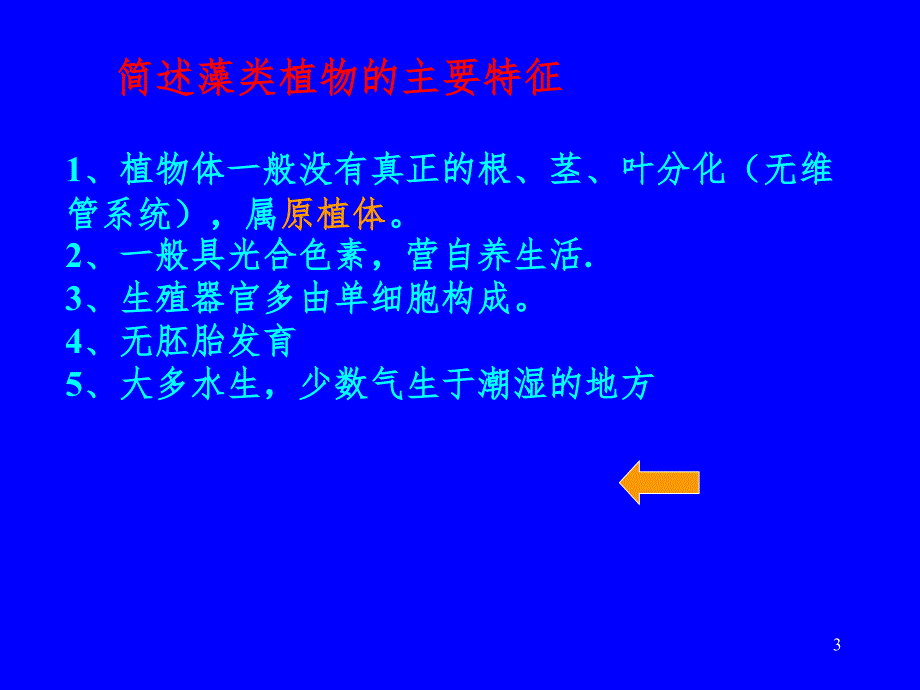 菌类与地衣幻灯片_第3页