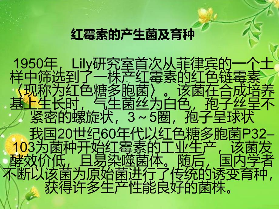 红霉素的发酵及提取工艺.ppt_第2页