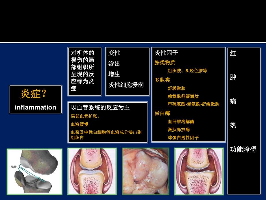 外科学教学课件：骨与关节感染_第3页