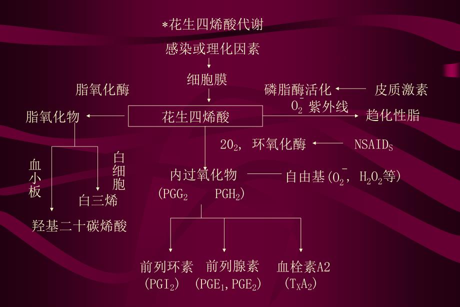 最新NSAIDs非甾体类抗炎药精选PPT文档_第4页