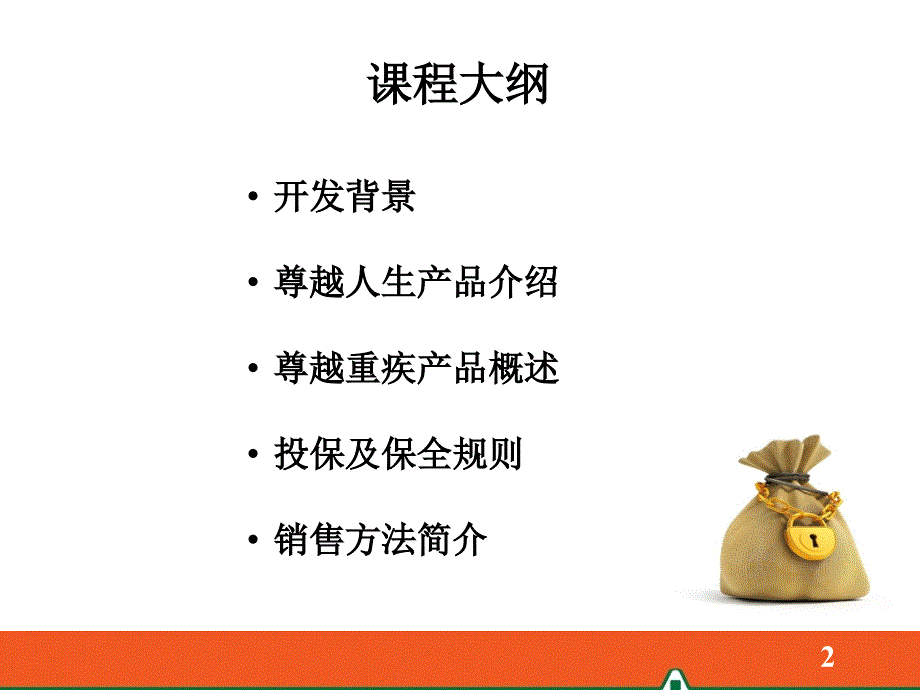 某保险公司产品介绍_第2页