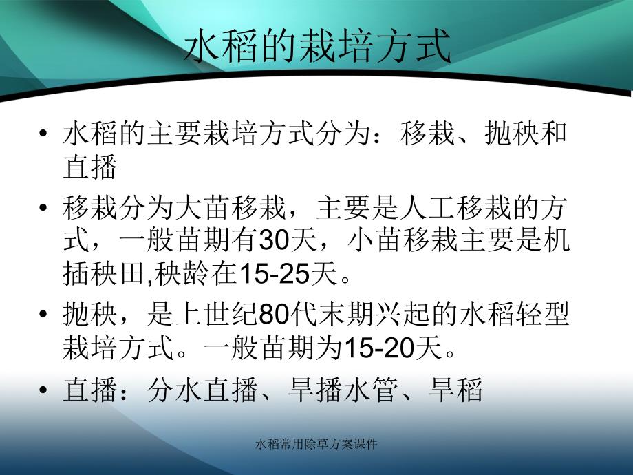 水稻常用除草方案课件_第2页