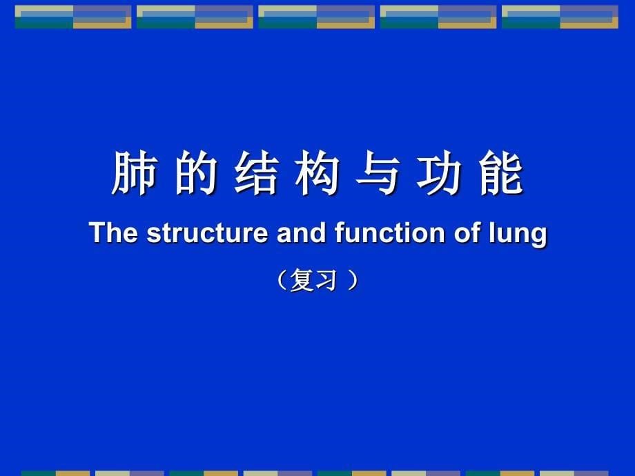 内科学教学课件：呼吸系统疾病总论_第5页