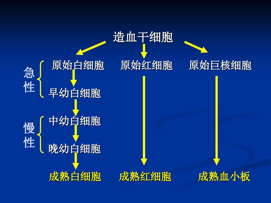 急性白血病病人护理_第3页