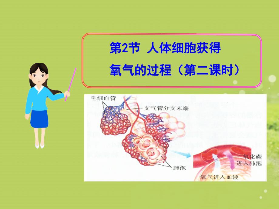 .4.4人体细胞获得氧气的过程第二课时[精选文档]_第1页