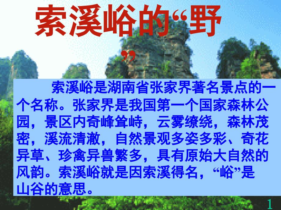 4索溪峪的野 (2)_第1页