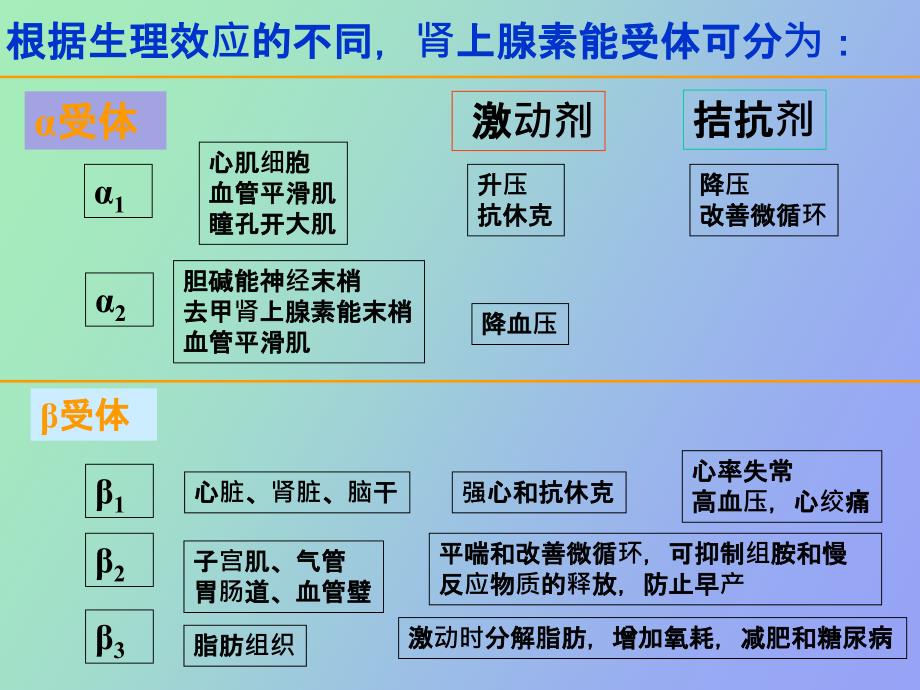 肾上腺素受体激动药和阻断药_第2页