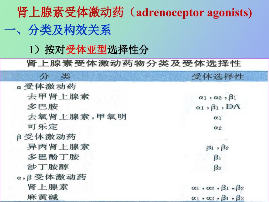 肾上腺素受体激动药和阻断药_第3页