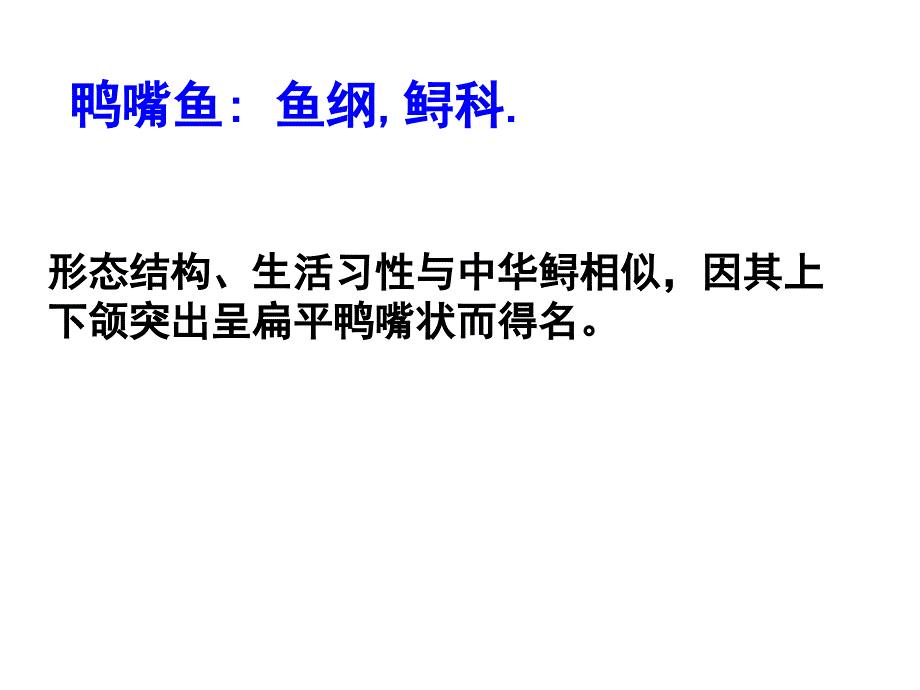 常见食用淡水鱼类的生物学分类_第3页