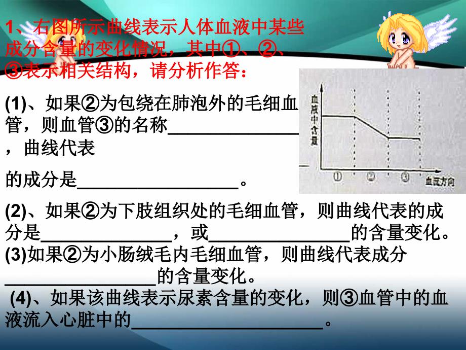 2016生物复习课件(循环系统、泌尿系统).ppt_第4页