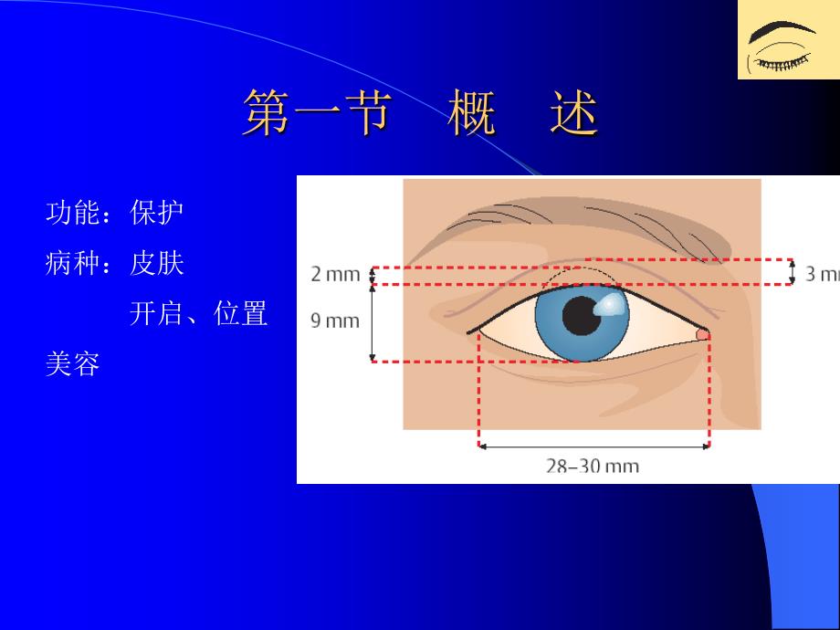 眼睑、泪器病_第2页