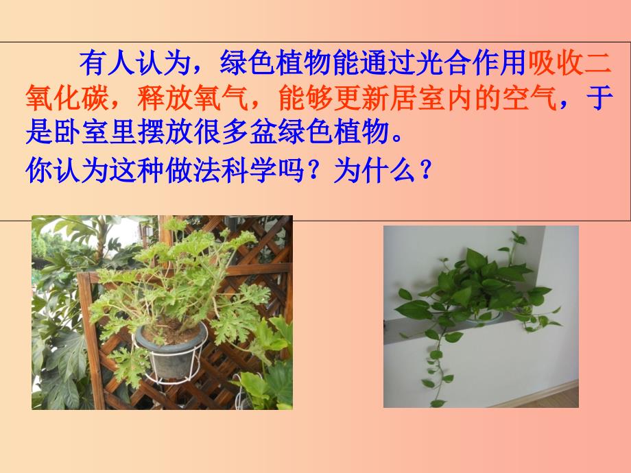 吉林省长春市七年级生物上册 第三单元 第五章 第二节 绿色植物的呼吸作用课件1 新人教版.ppt_第2页