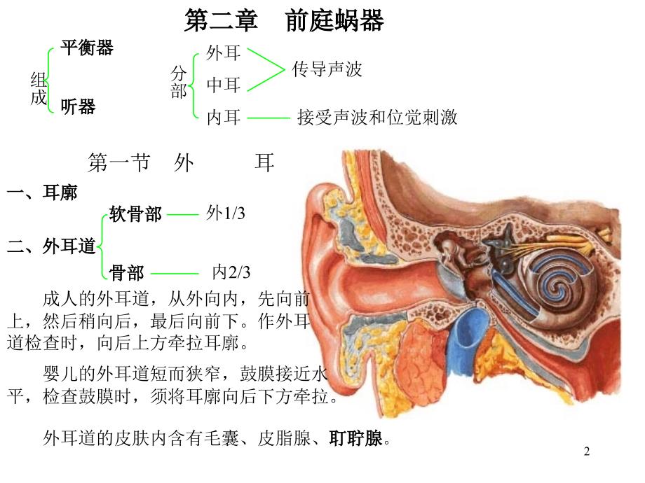 医药临床护理耳ppt课件_第2页