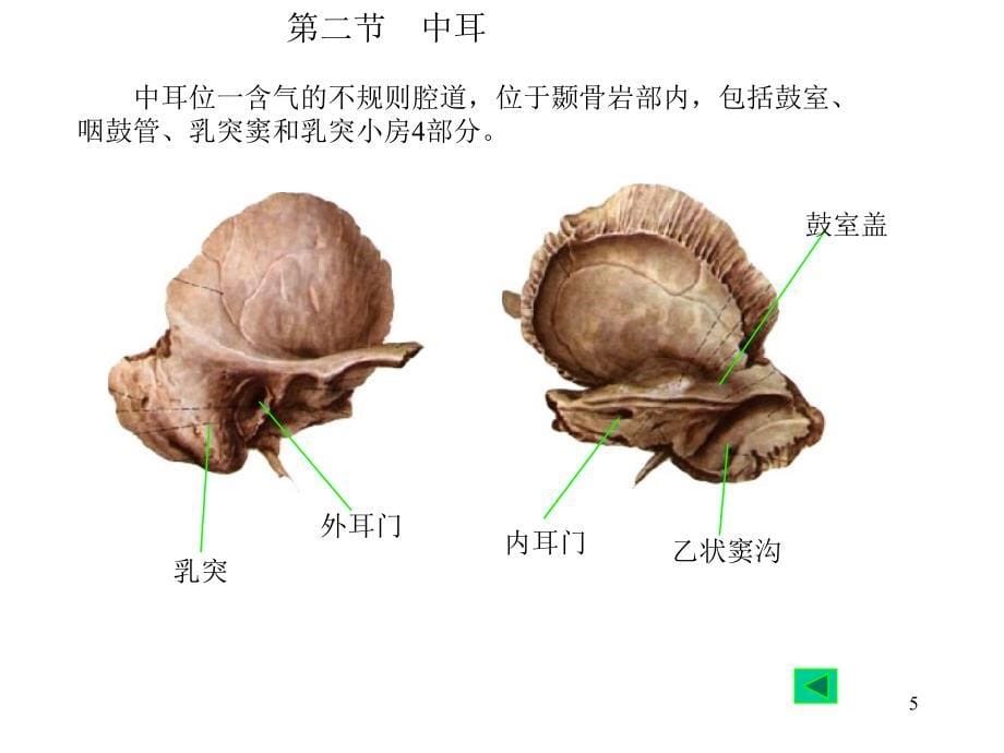 医药临床护理耳ppt课件_第5页