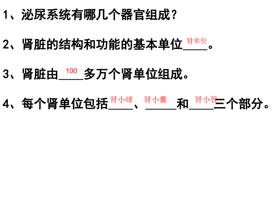 11课件尿液的形成_第3页