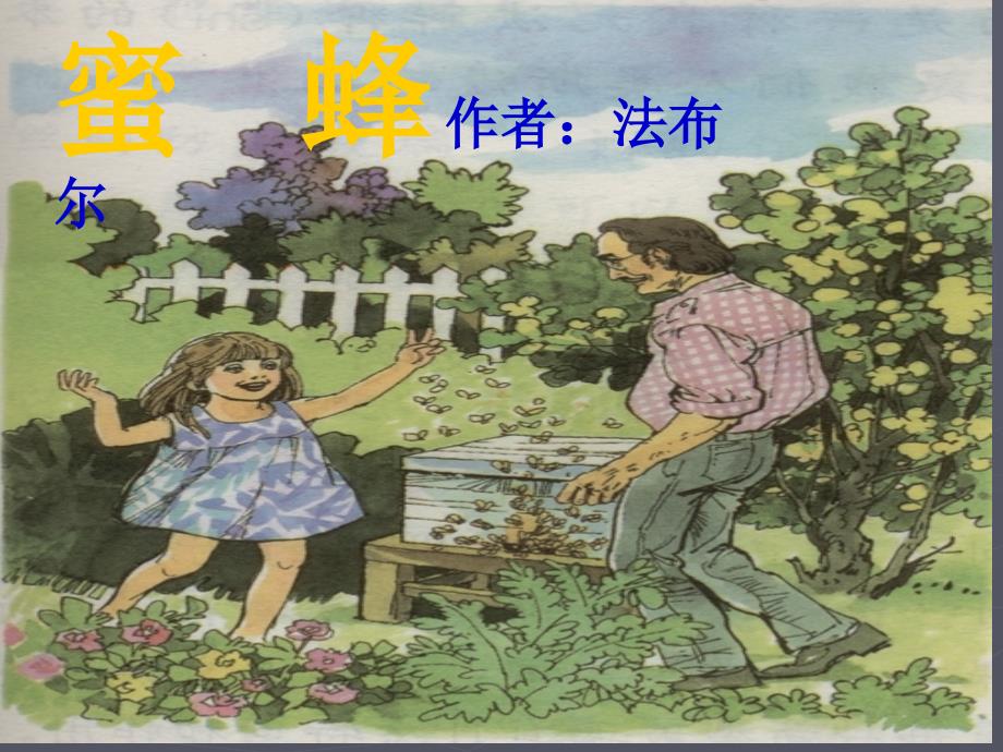 14《蜜蜂》课件1_第1页