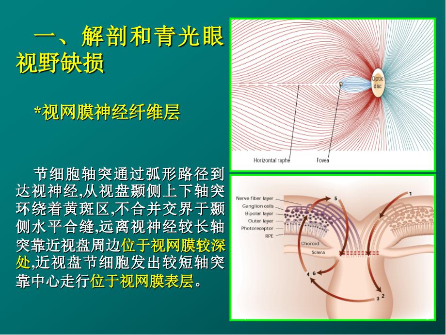 视野PPT幻灯片.ppt_第3页