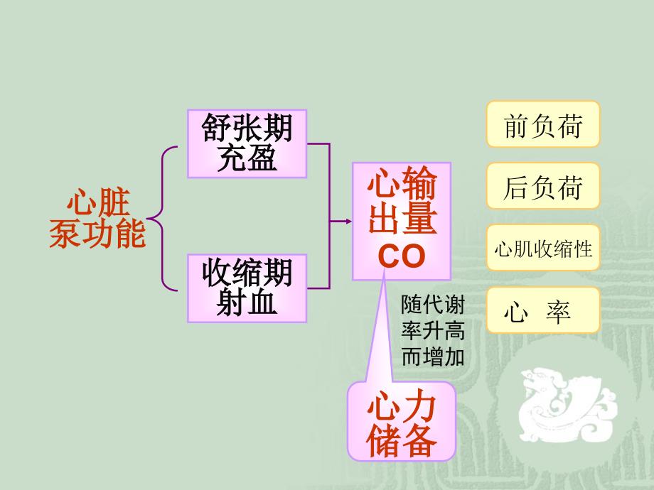 《病理生理学》教学课件：12-心功能不全_第2页