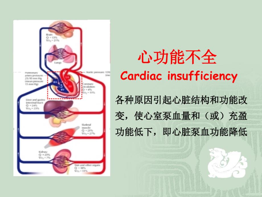 《病理生理学》教学课件：12-心功能不全_第3页