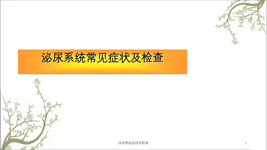 泌尿系统症状和检查课件_第1页