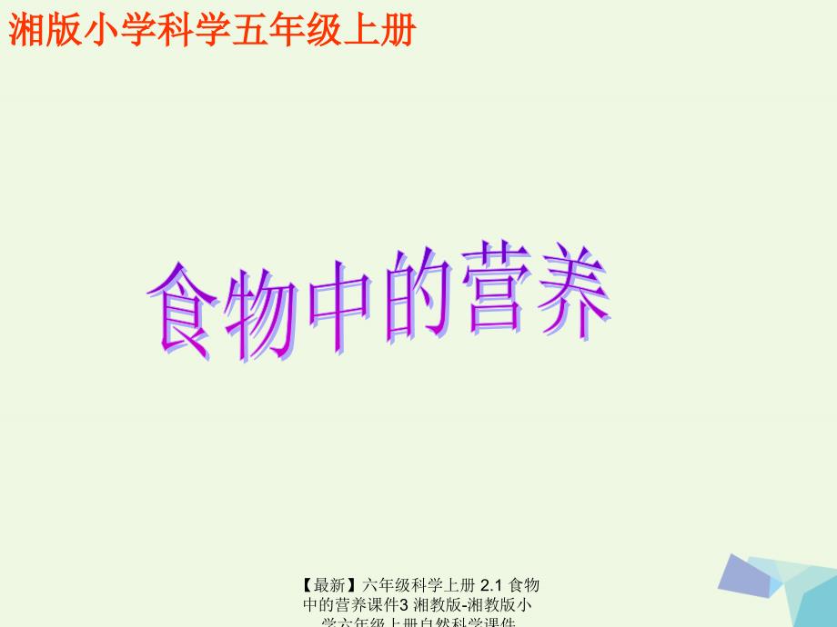 最新六年级科学上册2.1食物中的营养课件3湘教版湘教版小学六年级上册自然科学课件_第1页