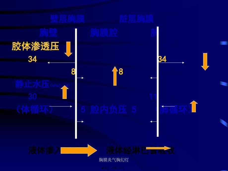 胸膜炎气胸幻灯课件_第5页