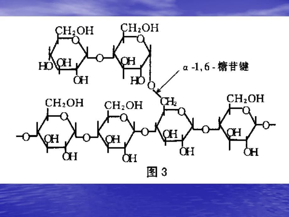 食物的体内过程_第5页