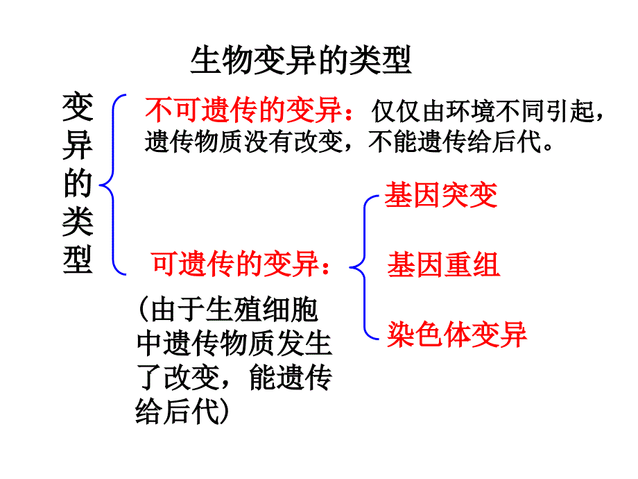 第一节基因突变和基因重组_第3页