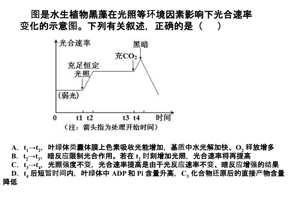 光合速率测定方法_第3页