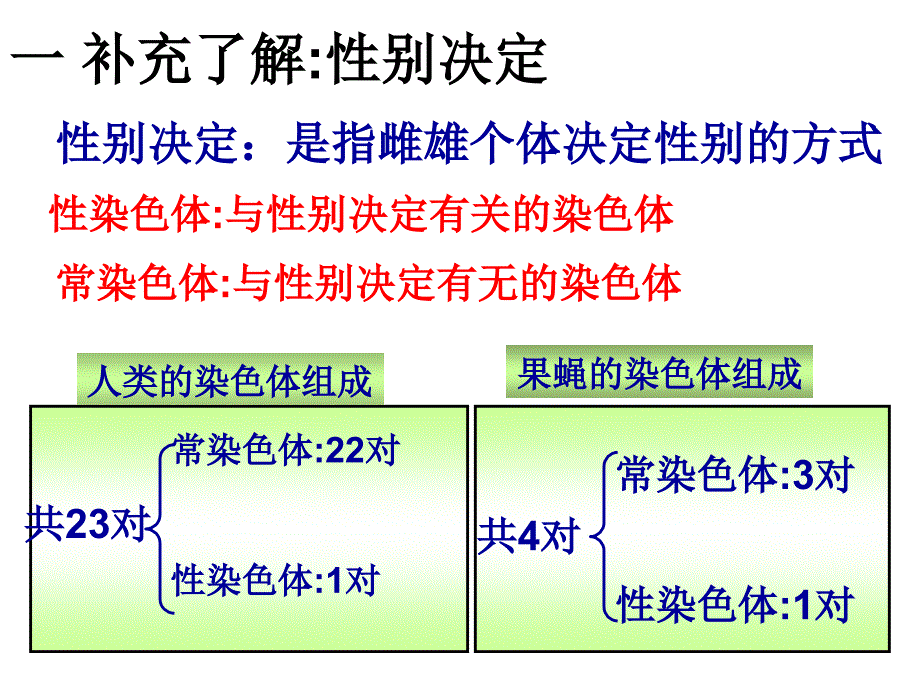 第2章第3节伴性遗传修改_第2页