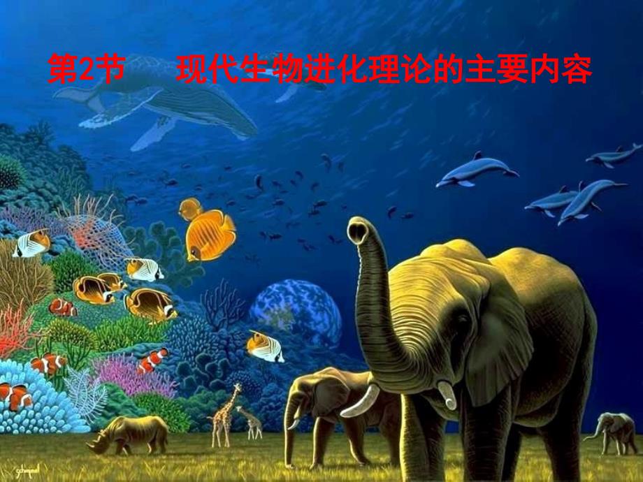 备选课件：现代生物进化理论的主要内容_第1页